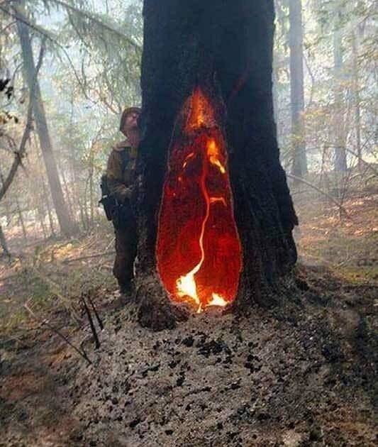 morning picdump 51 pics 6.html - 51 HD Photos | Premium Gallery 2018