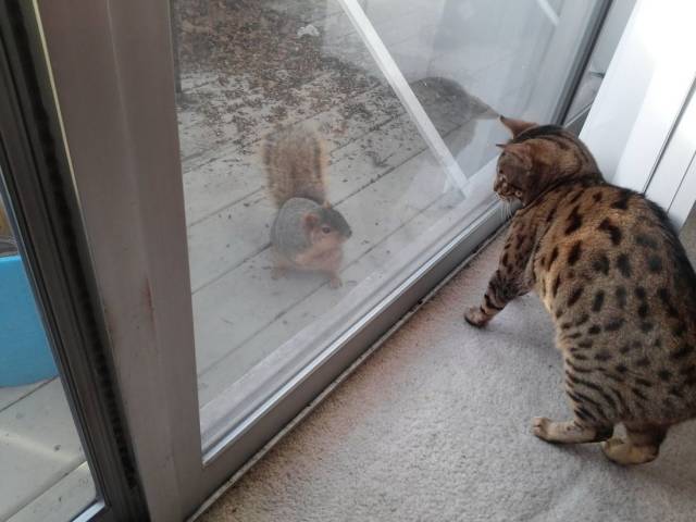 daily picdump 90 pics 41.html - 90 HD Photos | Premium Gallery 2018