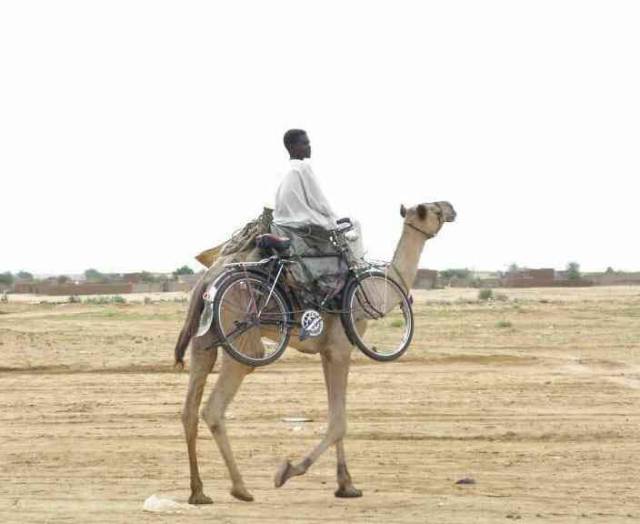 daily picdump 90 pics 41.html - 90 HD Photos | Premium Gallery 2018