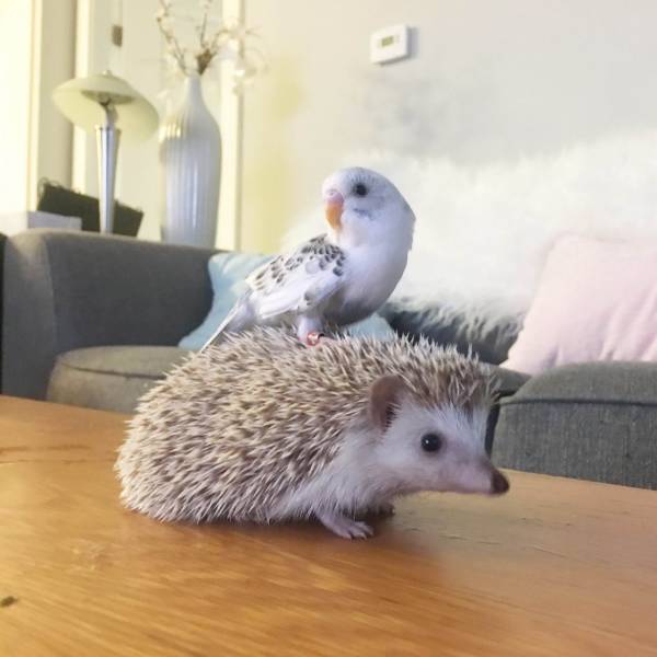 daily picdump 90 pics 41.html - 90 HD Photos | Premium Gallery 2018