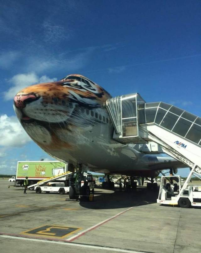 daily picdump 90 pics 41.html - 90 HD Photos | Premium Gallery 2018