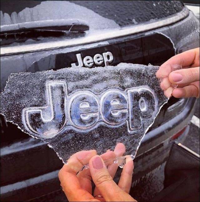 daily picdump 90 pics 41.html - 90 HD Photos | Premium Gallery 2018