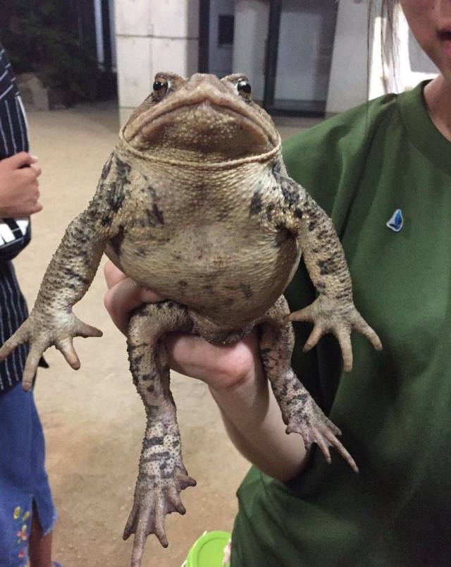 daily picdump 90 pics 41.html - 90 HD Photos | Premium Gallery 2018