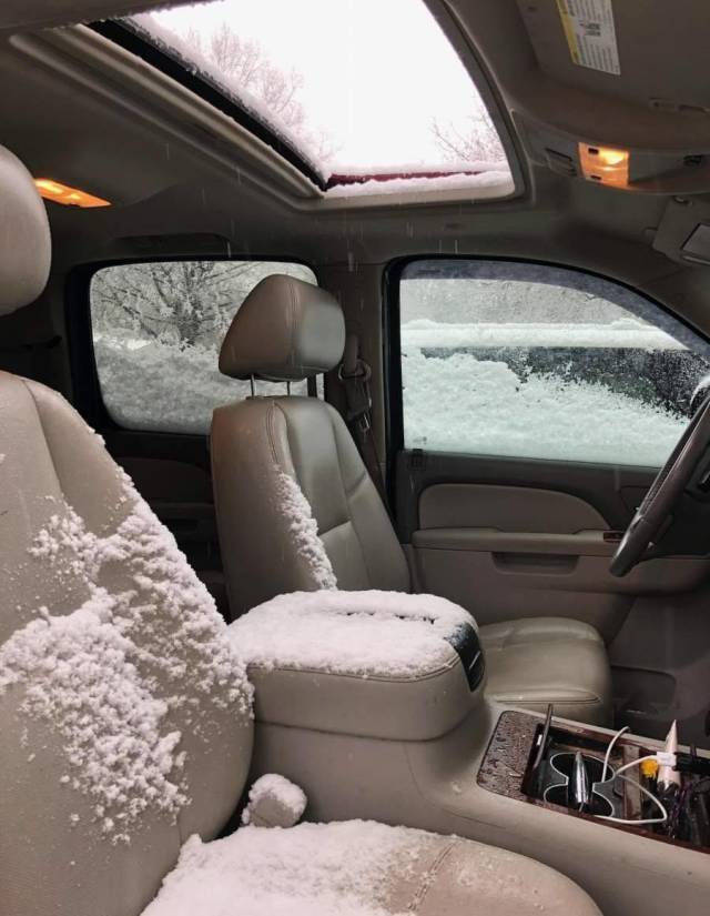 daily picdump 90 pics 41.html - 90 HD Photos | Premium Gallery 2018