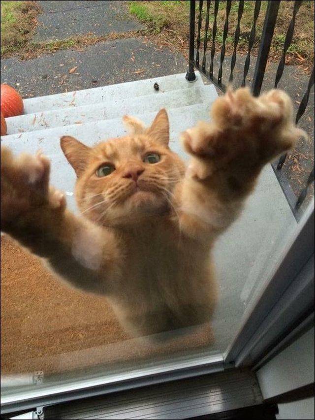 daily picdump 90 pics 41.html - 90 HD Photos | Premium Gallery 2018