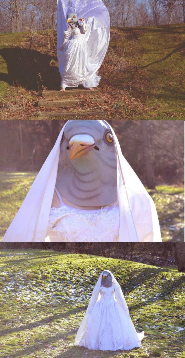 daily picdump 90 pics 41.html - 90 HD Photos | Premium Gallery 2018