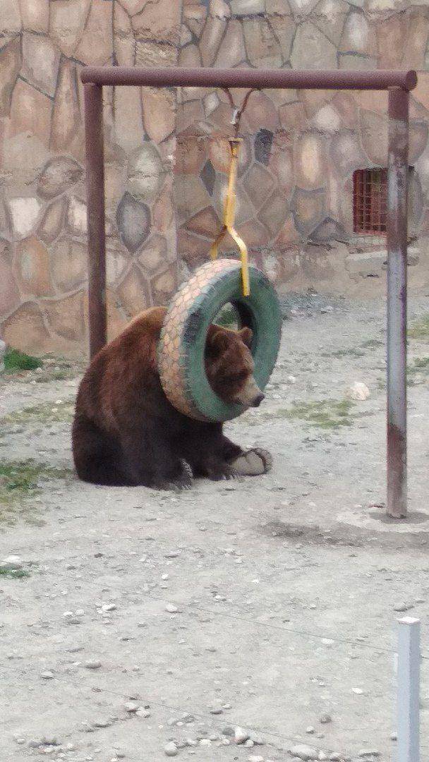 morning picdump 51 pics 2.html - 51 HD Photos | Premium Gallery 2018