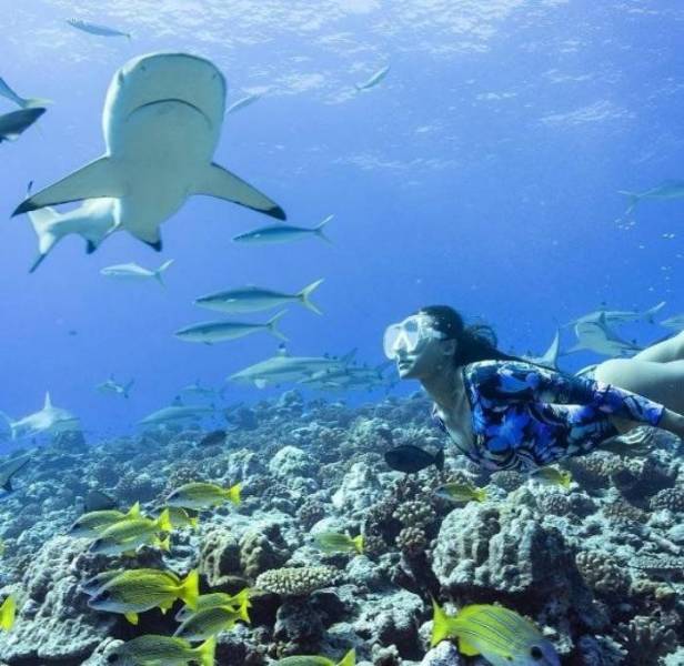 daily picdump weekend edition 67 pics 17.html - 67 HD Photos | Premium Gallery 2018