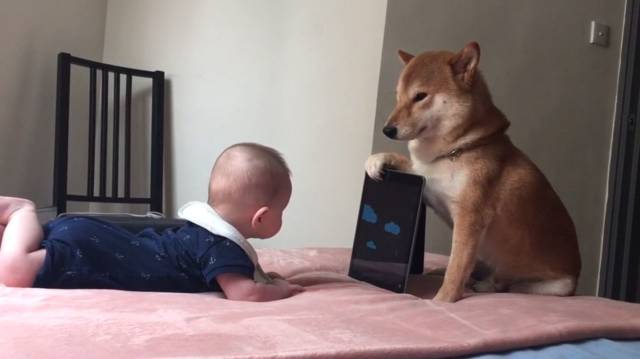 daily picdump weekend edition 67 pics 17.html - 67 HD Photos | Premium Gallery 2018