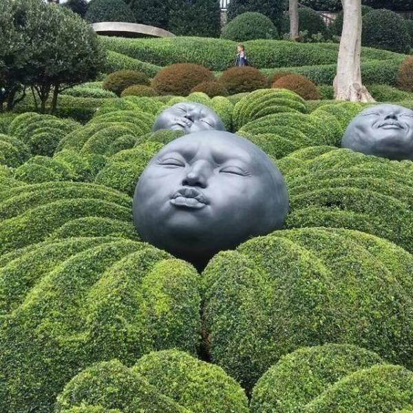 daily picdump weekend edition 67 pics 17.html - 67 HD Photos | Premium Gallery 2018