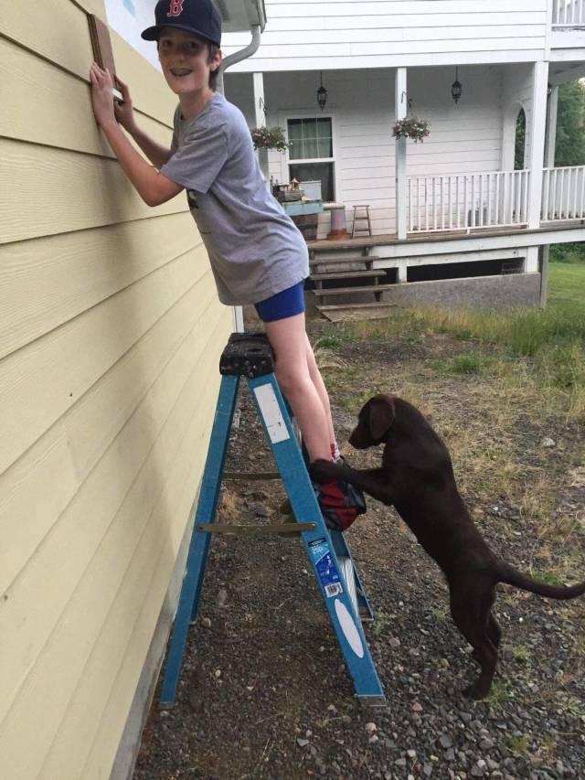 daily picdump weekend edition 67 pics 17.html - 67 HD Photos | Premium Gallery 2018