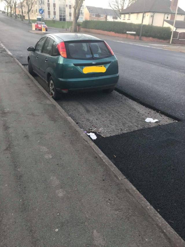 daily picdump weekend edition 67 pics 17.html - 67 HD Photos | Premium Gallery 2018