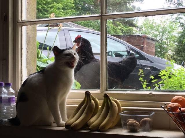 daily picdump 101 pics 45.html - 101 HD Photos | Premium Gallery 2018