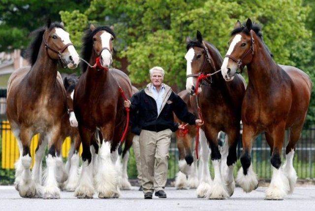 daily picdump 101 pics 45.html - 101 HD Photos | Premium Gallery 2018