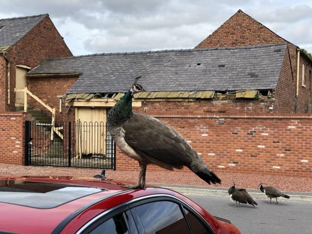 daily picdump 101 pics 45.html - 101 HD Photos | Premium Gallery 2018