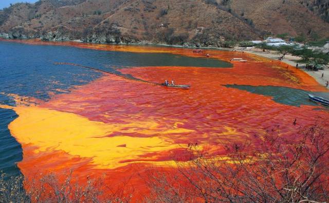 daily picdump 101 pics 45.html - 101 HD Photos | Premium Gallery 2018