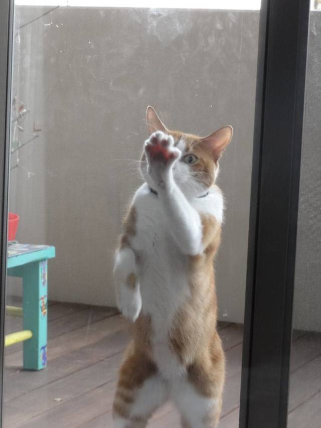 daily picdump 101 pics 45.html - 101 HD Photos | Premium Gallery 2018