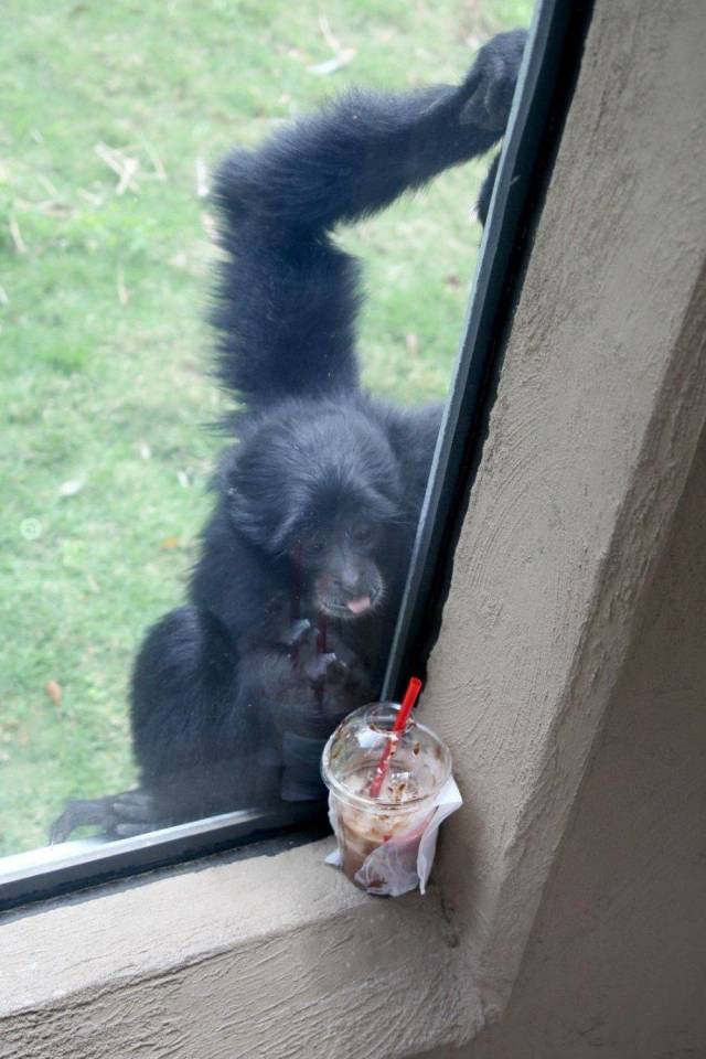 daily picdump 101 pics 45.html - 101 HD Photos | Premium Gallery 2018