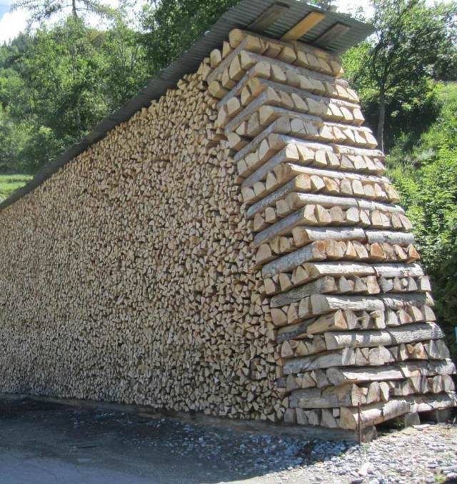 daily picdump 101 pics 45.html - 101 HD Photos | Premium Gallery 2018