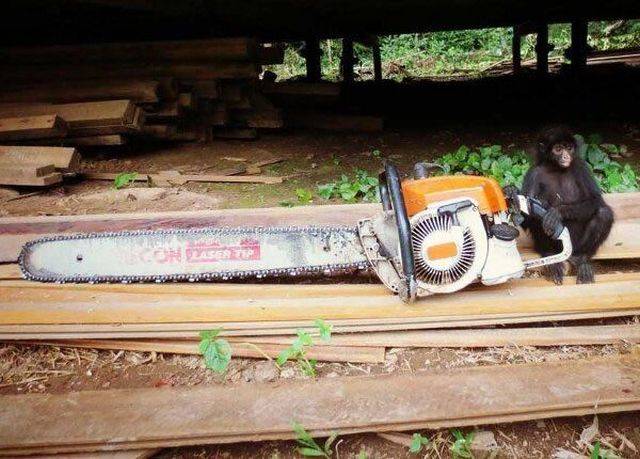 daily picdump 101 pics 46.html - 101 HD Photos | Premium Gallery 2018