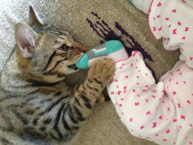 daily picdump 101 pics 46.html - 101 HD Photos | Premium Gallery 2018