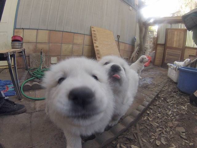 daily picdump 101 pics 46.html - 101 HD Photos | Premium Gallery 2018