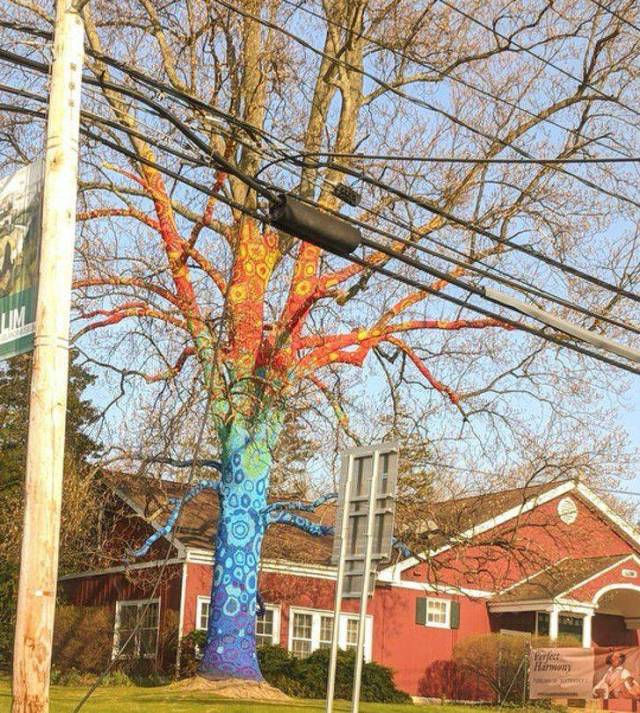 daily picdump 101 pics 46.html - 101 HD Photos | Premium Gallery 2018