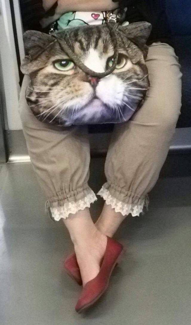 daily picdump 101 pics 46.html - 101 HD Photos | Premium Gallery 2018