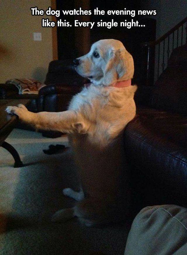 daily picdump 101 pics 46.html - 101 HD Photos | Premium Gallery 2018