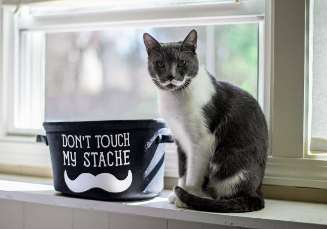 morning picdump 52 pics 7.html - 52 HD Photos | Premium Gallery 2018