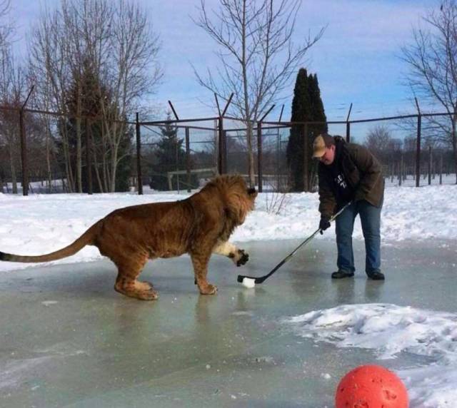 daily picdump 96 pics 43.html - 96 HD Photos | Premium Gallery 2018