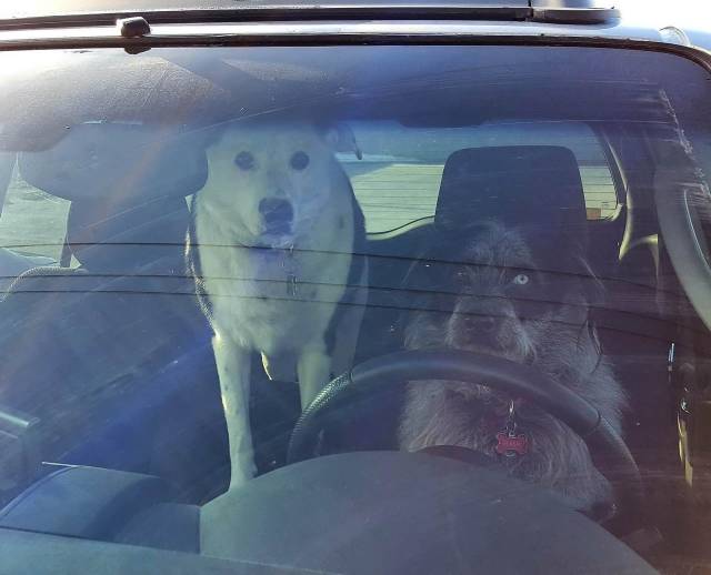 daily picdump 96 pics 43.html - 96 HD Photos | Premium Gallery 2018