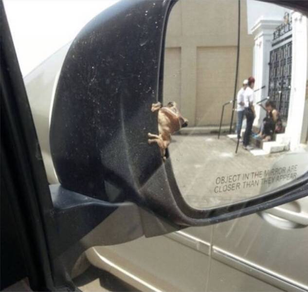 daily picdump 96 pics 43.html - 96 HD Photos | Premium Gallery 2018