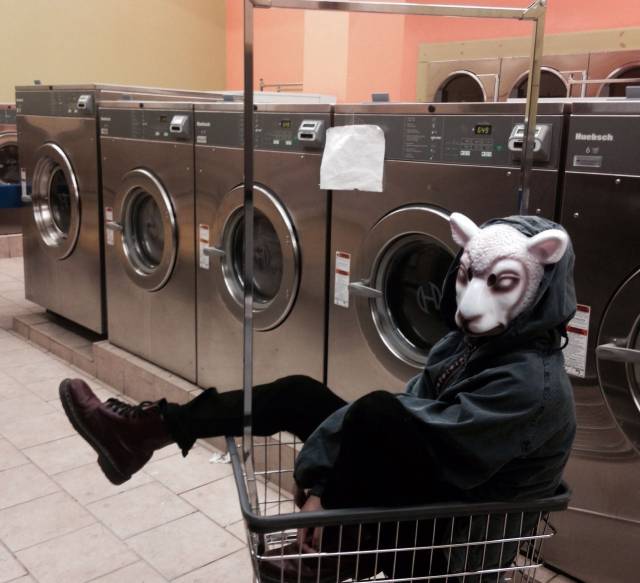 daily picdump 96 pics 43.html - 96 HD Photos | Premium Gallery 2018