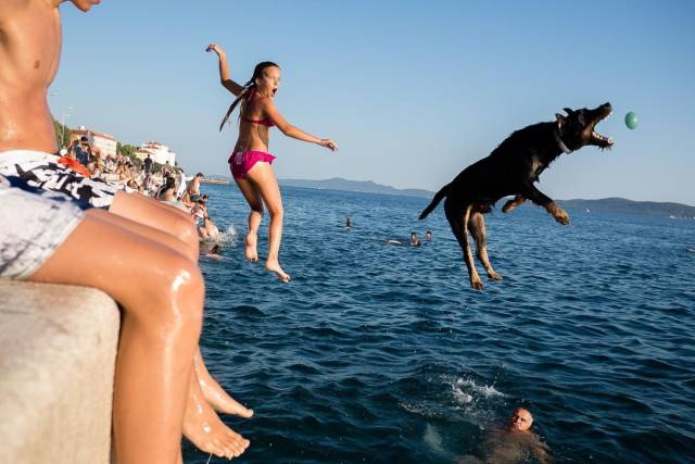 daily picdump 96 pics 43.html - 96 HD Photos | Premium Gallery 2018