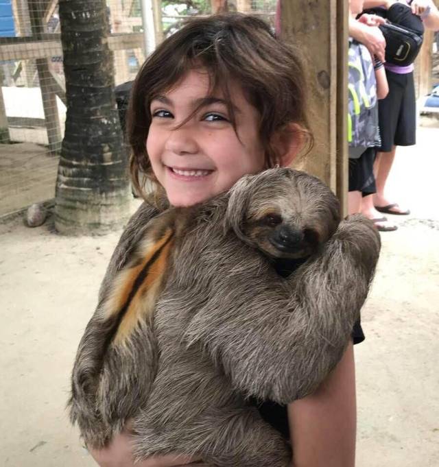 daily picdump 96 pics 43.html - 96 HD Photos | Premium Gallery 2018