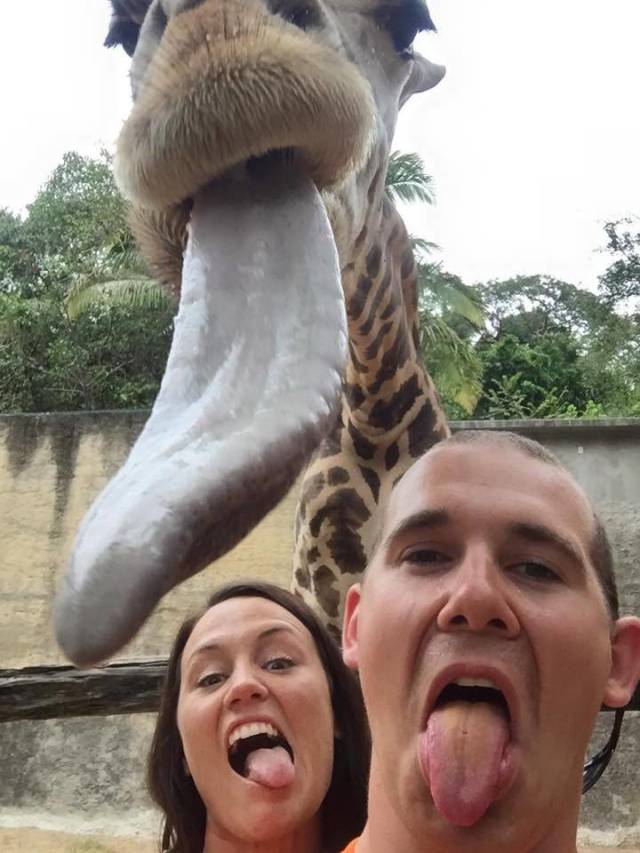 daily picdump 96 pics 43.html - 96 HD Photos | Premium Gallery 2018