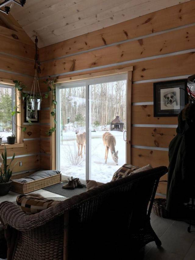 daily picdump 96 pics 43.html - 96 HD Photos | Premium Gallery 2018