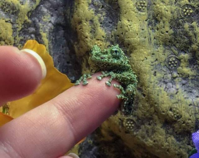 daily picdump 102 pics 30.html - 102 HD Photos | Premium Gallery 2018