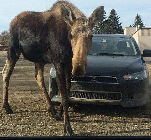 daily picdump 102 pics 30.html - 102 HD Photos | Premium Gallery 2018