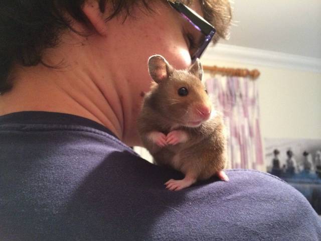 daily picdump 102 pics 30.html - 102 HD Photos | Premium Gallery 2018