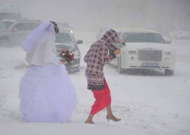 daily picdump 102 pics 30.html - 102 HD Photos | Premium Gallery 2018