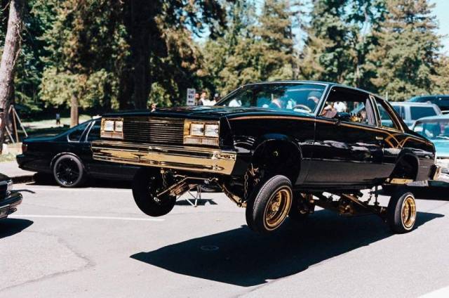 daily picdump 102 pics 30.html - 102 HD Photos | Premium Gallery 2018