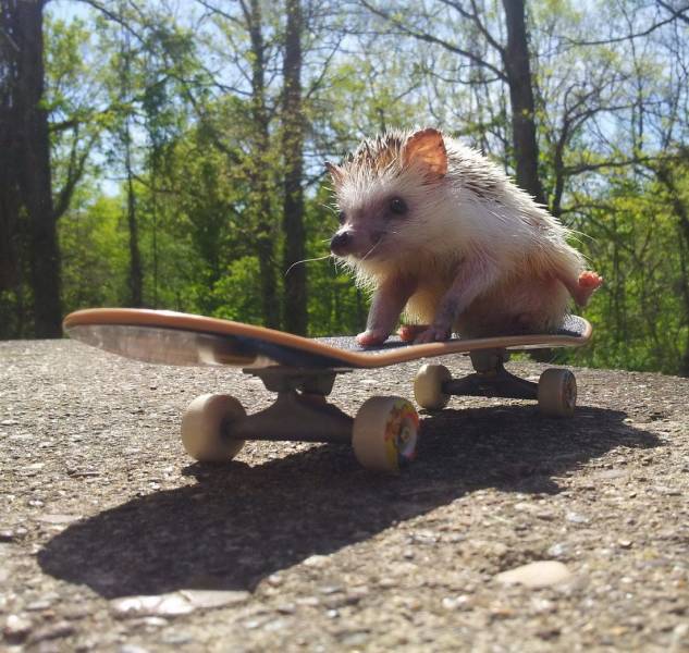 daily picdump 102 pics 30.html - 102 HD Photos | Premium Gallery 2018