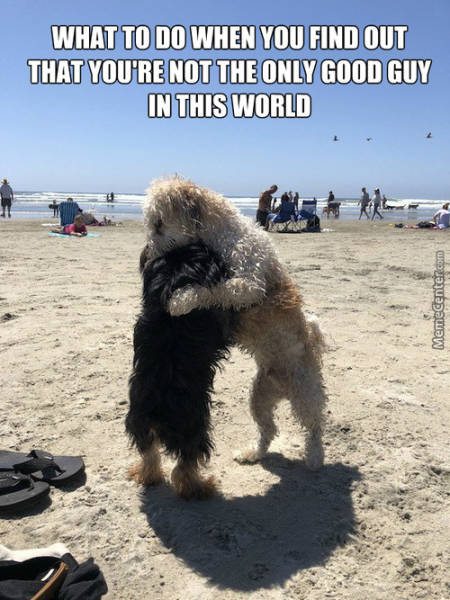 funny picdump 52 pics 11.html - 52 HD Photos | Premium Gallery 2018