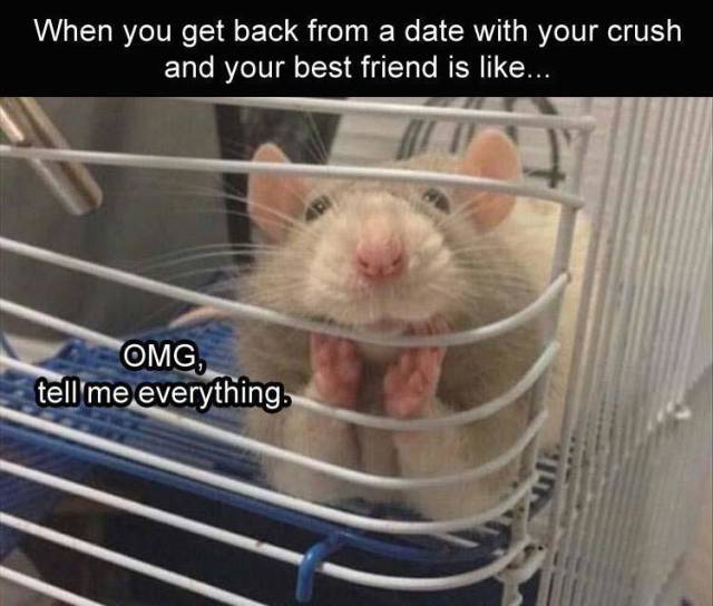 funny picdump 52 pics 11.html - 52 HD Photos | Premium Gallery 2018