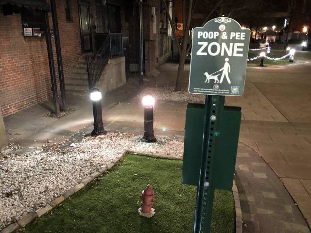 morning picdump 51 pics 12.html - 51 HD Photos | Premium Gallery 2018