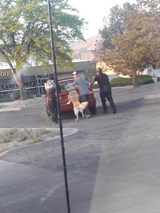 morning picdump 51 pics 12.html - 51 HD Photos | Premium Gallery 2018