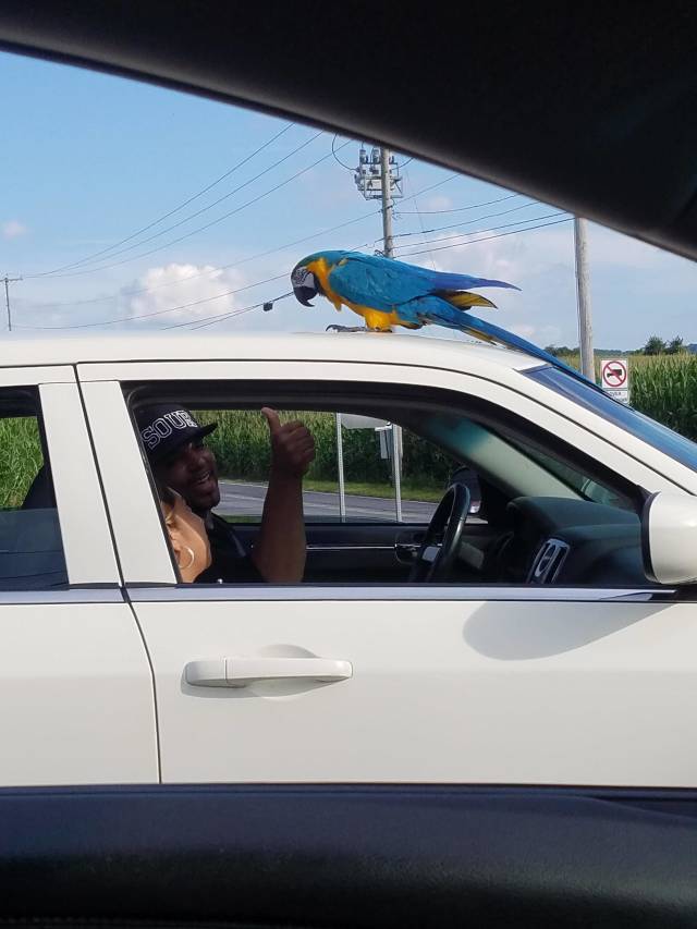 morning picdump 51 pics 12.html - 51 HD Photos | Premium Gallery 2018