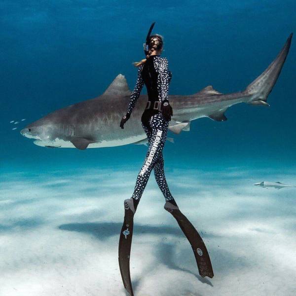 daily picdump 105 pics 22.html - 105 HD Photos | Premium Gallery 2018